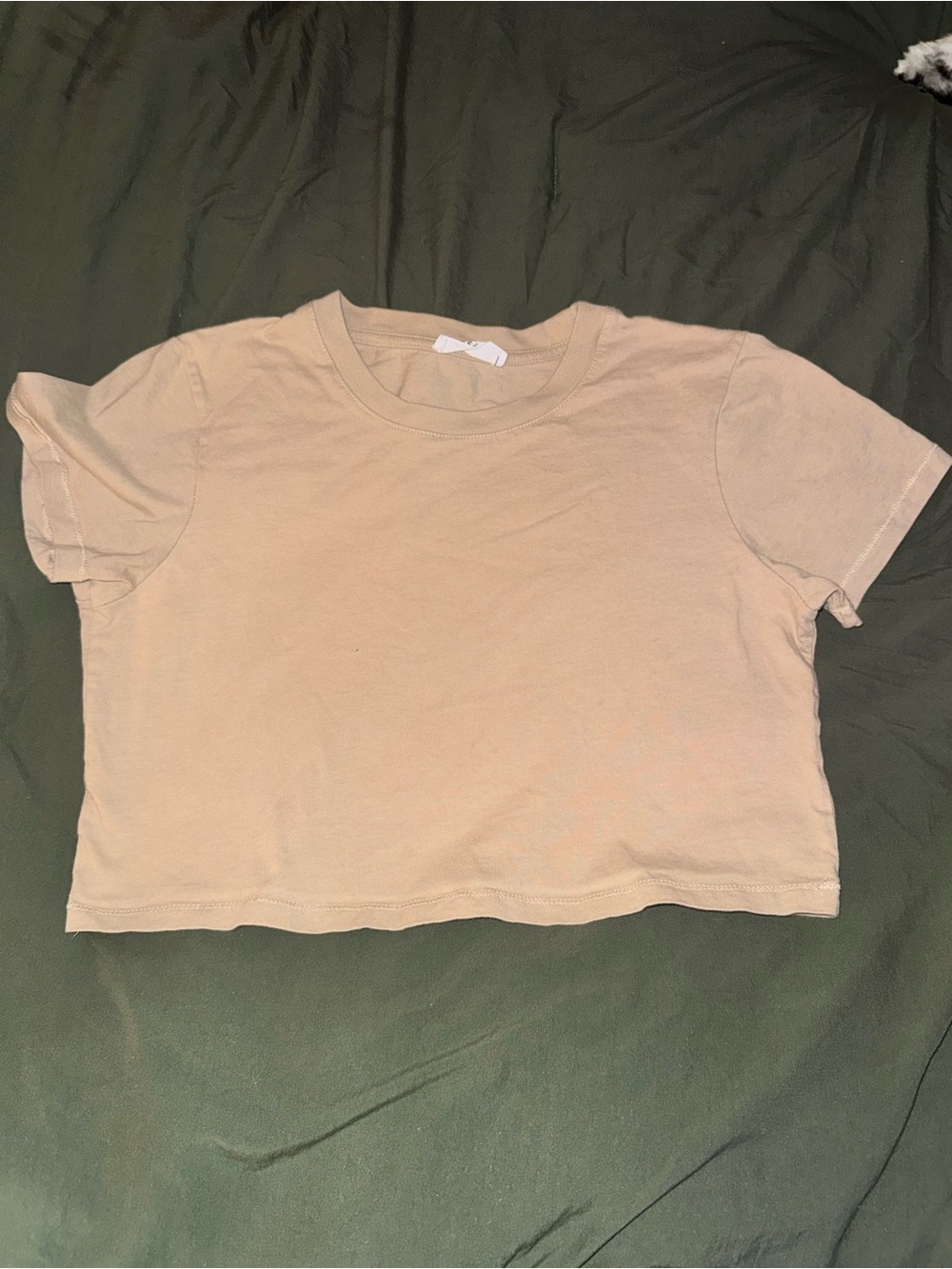 Cotton On Cropped Tee - Beige